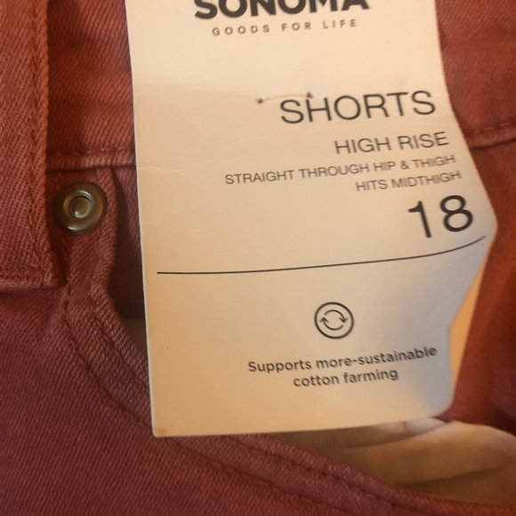 High Rise Shorts - Picture 3 of 3